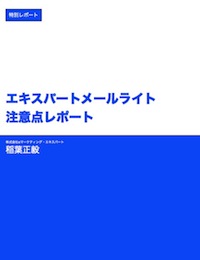 エキスパートメールライトの注意点レポート